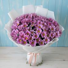 Букет цветов из:  Хризантемы в Шумерле
