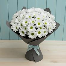 Букет цветов из:  Хризантемы в Шумерле