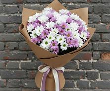 Букет цветов из:  Хризантемы в Шумерле