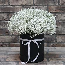 Цветочная композиция из Гипсофила в шляпной коробке в Шумерле