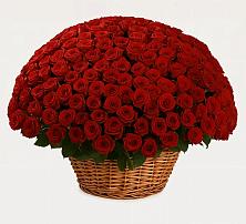 Премиум букет из: Розы #REPLACE_PRED# Шумерле