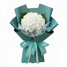 Букет цветов из:  Гортензия в Шумерле